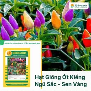 Hạt Giống Ớt Kiểng Ngũ Sắc - Sen Vàng
