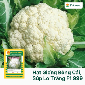 Hạt Giống Bông Cải, Súp Lơ Trắng F1 999 - Sen Vàng