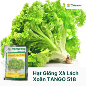 Hạt Giống Xà Lách Xoăn - TANGO TN 518 - Trang Nông