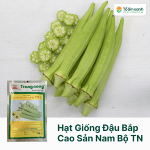 Hạt Giống Đậu Bắp Cao Sản Nam Bộ TN 1 - Trang Nông