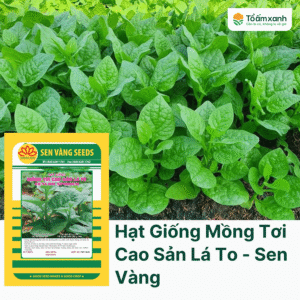 Hạt Giống Mồng Tơi Cao Sản Lá To - Sen Vàng