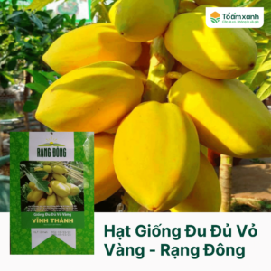 Hạt Giống Đu Đủ Vỏ Vàng - Rạng Đông