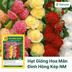 Hạt Giống Hoa Mãn Đình Hồng Kép Nhiều Màu - 0.5 gram