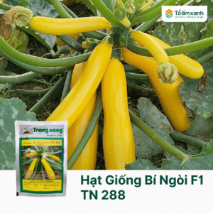 Hạt Giống Bí Ngòi F1 TN 288 - 5 gram