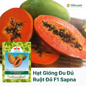 Hạt Giống Đu Đủ Ruột Đỏ Lai F1 SAPNA - Hai Mũi Tên Đỏ