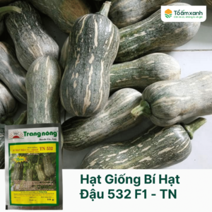 Hạt Giống Bí Hạt Đậu 532 F1 - Trang Nông