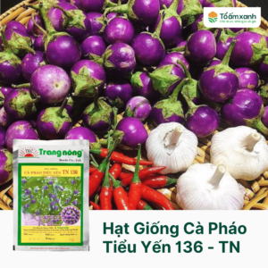 Hạt Giống Cà Pháo Tiểu Yến TN 136 - Trang Nông