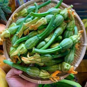 Hạt Giống Bí Ăn Nụ Tầm Xuân Hai Mũi Tên Đỏ - 100 Hạt