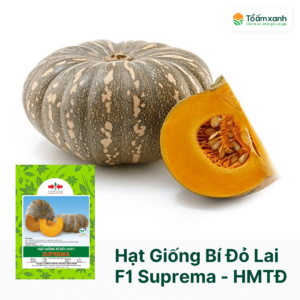 Hạt Giống Bí Đỏ Lai F1 SUPREMA -  Hai Mũi Tên Đỏ