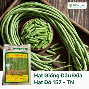 Hạt Giống Đậu Đũa Hạt Đỏ 157 - Trang Nông