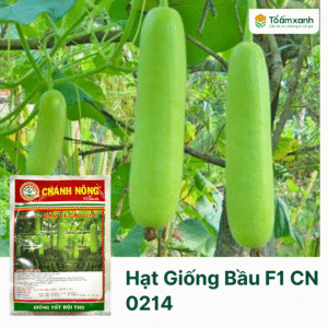 Hạt Giống Bầu - Bầu F1 CN 0214 - Chánh Nông