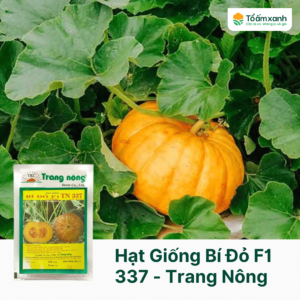 Hạt Giống Bí Đỏ F1 TN 337 - Trang Nông
