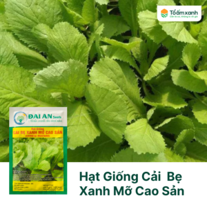 Hạt Giống Cải  Bẹ Xanh Mỡ Cao Sản - Đại An