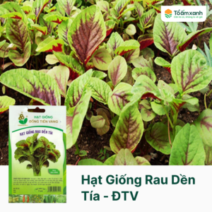 Hạt Giống Rau Dền Tía - Đồng Tiền Vàng