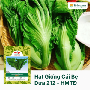 Hạt Giống Cải Bẹ Dưa 212 - Hai Mũi Tên Đỏ