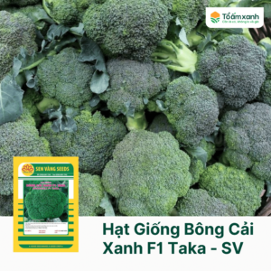 Hạt Giống Bông Cải Xanh F1 TAKA - Sen Vàng