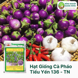 Hạt Giống Cà Pháo Tiểu Yến TN 136 - Trang Nông