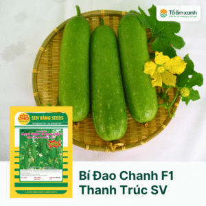 Bí Đao Chanh F1 Thanh Trúc - Sen Vàng