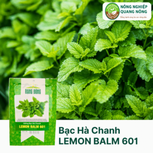Hạt Giống Bạc Hà Chanh LEMON BALM 601 - Rạng Đông - 1 gram
