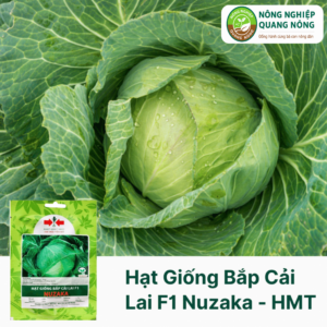 Hạt Giống Bắp Cải Lai F1 NUZAKA - Hai Mũi Tên Đỏ - 90 Hạt