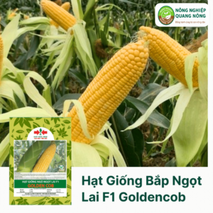 Hạt Giống Bắp Ngọt Lai F1 GOLDENCOB Hai Mũi Tên Đỏ