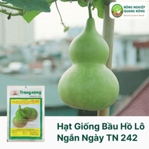 Hạt Giống Bầu Hồ Lô Ngắn Ngày TN 242 - Trang Nông