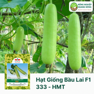 Hạt Giống Bầu Lai F1 333 - Hai Mũi Tên Đỏ