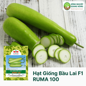 Hạt Giống Bầu Lai F1 RUMA 100 - Hai Mũi Tên Đỏ