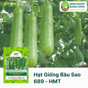 Hạt Giống Bầu Sao 689 -  Hai Mũi Tên Đỏ