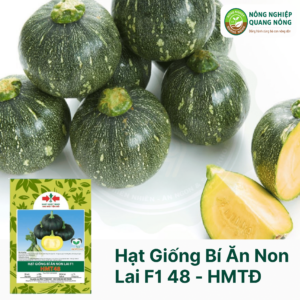 Hạt Giống Bí Ăn Non Lai F1 HMT 48 - Hai Mũi Tên Đỏ