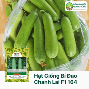 Hạt Giống Bí Đao Chanh Lai F1 164 - Hai Mũi Tên Đỏ