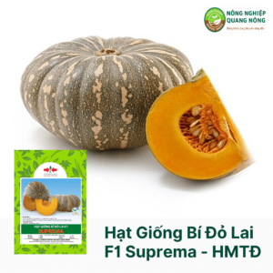 Hạt Giống Bí Đỏ Lai F1 SUPREMA -  Hai Mũi Tên Đỏ