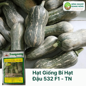 Hạt Giống Bí Hạt Đậu 532 F1 - Trang Nông