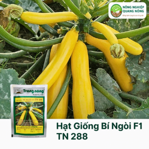 Hạt Giống Bí Ngòi F1 TN 288 - 5 gram