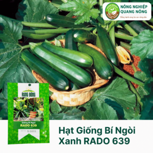 Hạt Giống Bí Ngòi Xanh RADO 639 - Rạng Đông 1 Gram