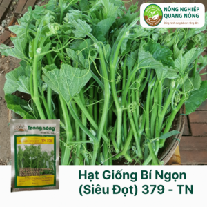 Hạt Giống Bí Ngọn (Siêu Đọt)  379 - Trang Nông