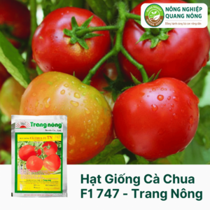 Hạt Giống Cà Chua F1 TN 747 - Trang Nông