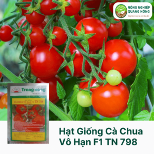 Hạt Giống Cà Chua Vô Hạn F1 TN 798 - Trang Nông 0.6 Gram