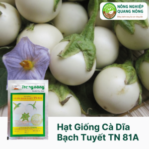 Hạt Giống Cà Dĩa Bạch Tuyết TN 81A - Trang Nông