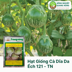 Hạt Giống Cà Dĩa Da Ếch 121 - Trang Nông