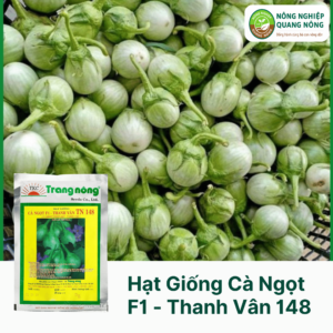 Hạt Giống Cà Ngọt F1 - Thanh Vân TN 148 - Trang Nông