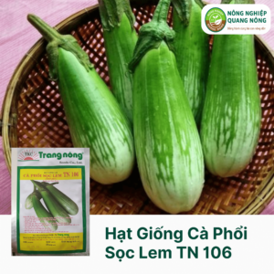 Hạt Giống Cà Phổi Sọc Lem TN 106 - Trang Nông