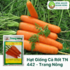 Hạt Giống Cà Rốt TN 442 - 2 gram