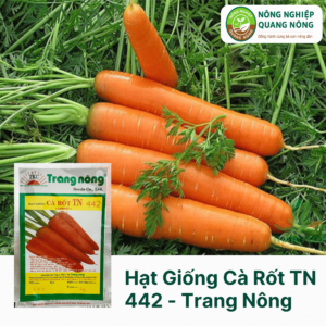 Hạt Giống Cà Rốt TN 442 - 2 gram