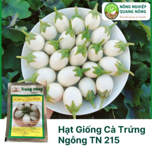 Hạt Giống Cà Trứng Ngỗng TN 215 - Trang Nông