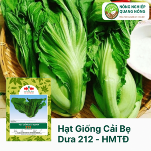 Hạt Giống Cải Bẹ Dưa 212 - Hai Mũi Tên Đỏ