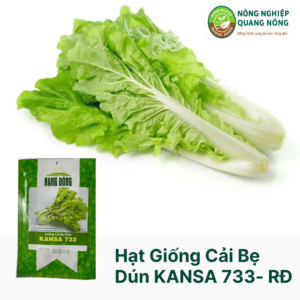 Hạt Giống Cải Bẹ Dún KANSA - Rạng Đông