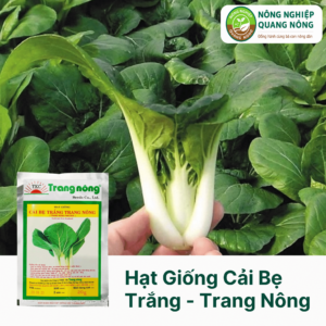 Hạt Giống Cải Bẹ Trắng - Trang Nông