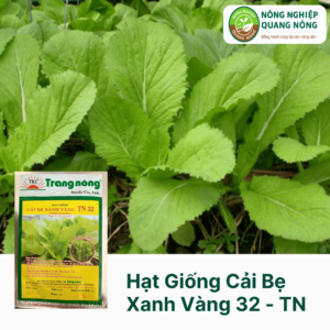 Hạt Giống Cải Bẹ Xanh Vàng 32 - Trang Nông