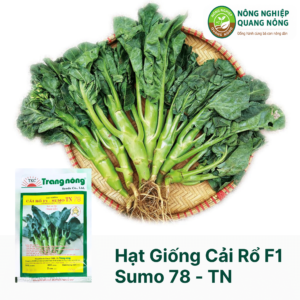 Hạt Giống Cải Rổ F1 - SUMO TN 78 - Trang Nông